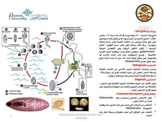 Parasitology lecture 3 