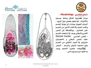 Parasitology lecture 3 