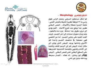 Parasitology lecture 3