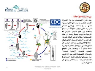 Parasitology lecture 3 