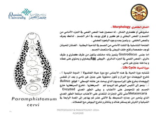 Parasitology lecture 3