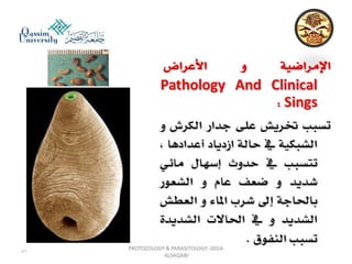 Parasitology lecture 3