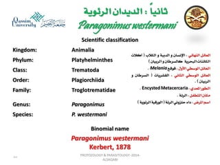 Parasitology lecture 3 