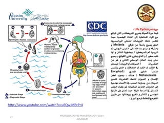 Parasitology lecture 3 