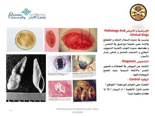 Parasitology lecture 3