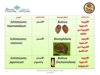 Parasitology lecture 3 