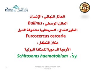 Parasitology lecture 3 