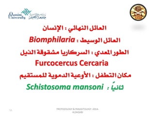 Parasitology lecture 3