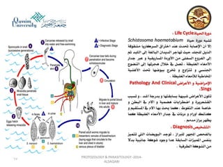Parasitology lecture 3