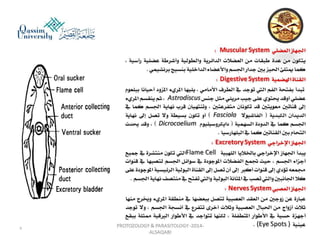Parasitology lecture 3 