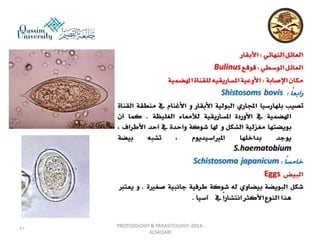 Parasitology lecture 3 