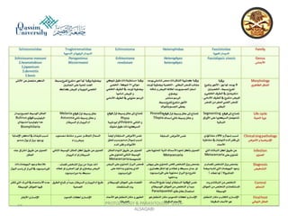 Parasitology lecture 3 