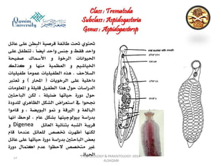 Parasitology lecture 3 