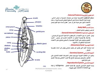 Parasitology lecture 3 