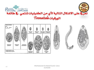 Parasitology lecture 3
