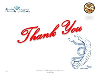 Parasitology lecture 3 