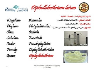 Parasitology lecture 4 