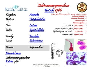 Parasitology lecture 4 