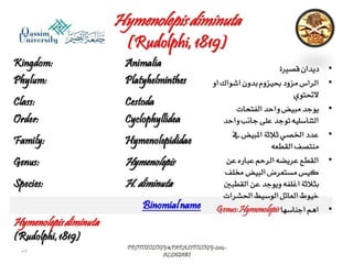Parasitology lecture 4 