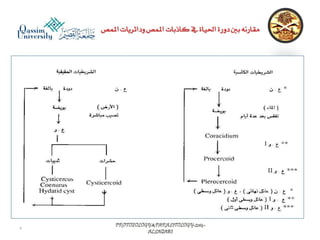 Parasitology lecture 4 