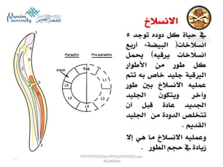 Parasitology lecture 5 