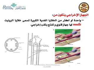 Parasitology lecture 5 