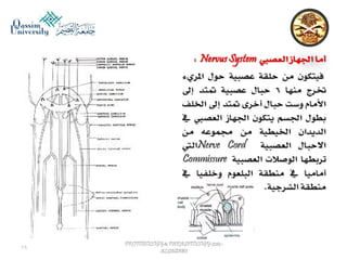 Parasitology lecture 5 