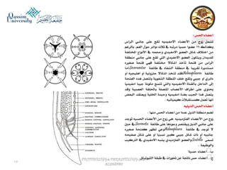 Parasitology lecture 5 
