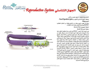 Parasitology lecture 5 