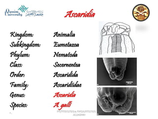 Parasitology lecture 5 