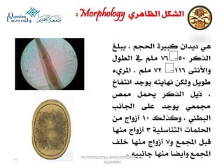 Parasitology lecture 5 