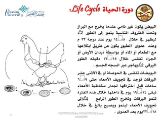 Parasitology lecture 5 