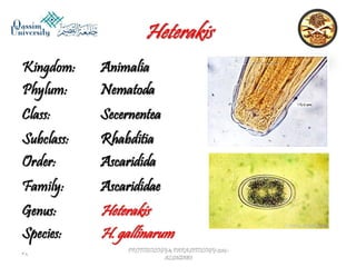 Parasitology lecture 5 