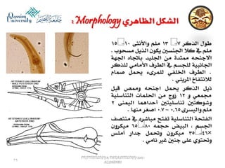 Parasitology lecture 5 