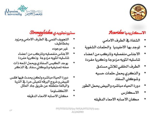 Parasitology lecture 5 