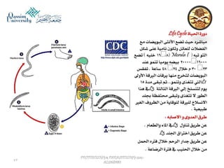 Parasitology lecture 5 