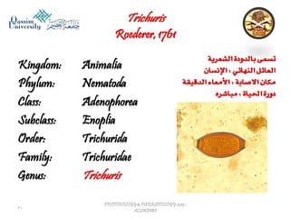 Parasitology lecture 5 