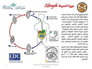 Parasitology lecture 5 