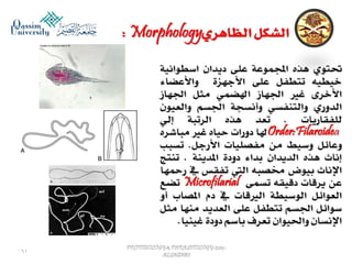 Parasitology lecture 5 