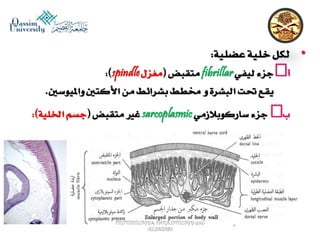 Parasitology lecture 5 