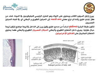 Parasitology lecture 5 