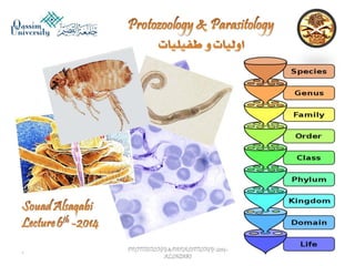 Parasitology lecture 6 