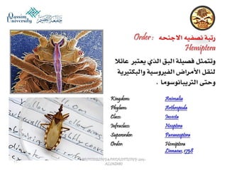 Parasitology lecture 6 