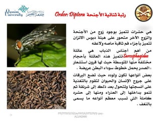 Parasitology lecture 6 