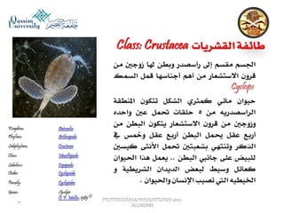 Parasitology lecture 6 