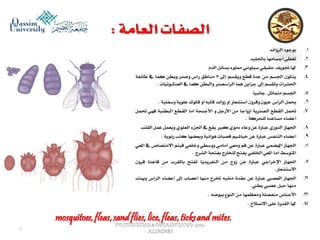 Parasitology lecture 6 