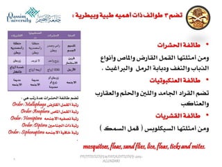 Parasitology lecture 6 