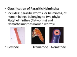 • Classification of Parasitic Helminths:
• Includes: parasitic worms, or helminths, of
human beings belonging to two phyla-
Platyhelminthes (flatworms) and
Nemathelminthes (Round worms).
• Cestode Trematode Nematode
 