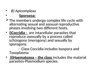 • B) Apicomplexa
• Sporozoa:
The members undergo complex life cycle with
alternating sexual and asexual reproductive
phases involving two different hosts.
• i)Coccidia - are intacellular parasites that
reproduce asexually by a process called
schizogony (merogony) and sexually by
sporogony.
- Class Coccidia includes Isospora and
Toxoplasma
• ii)Haematozoa – the class includes the malarial
parasites-Plasmodium species.
 