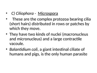 • C) Ciliophora - Microspora
• These are the complex protozoa bearing cilia
(short hairs) distributed in rows or patches by
which they move.
• They have two kinds of nuclei (macronucleus
and micronucleus) and a large contractile
vacoule.
• Balantidium coli, a giant intestinal ciliate of
humans and pigs, is the only human parasite
 